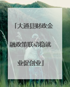 大通县财政金融政策联动稳就业促创业