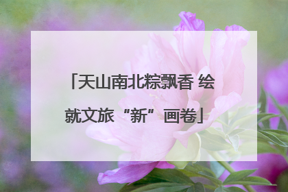 天山南北粽飘香 绘就文旅“新”画卷