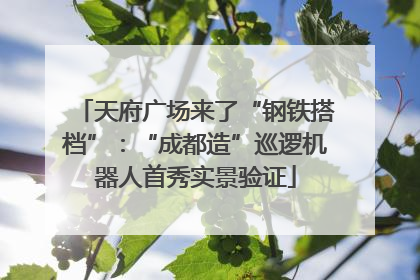 天府广场来了“钢铁搭档”：“成都造”巡逻机器人首秀实景验证