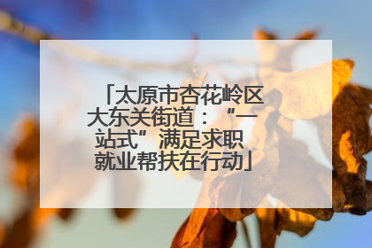太原市杏花岭区大东关街道：“一站式”满足求职 就业帮扶在行动