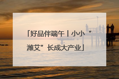 好品伴端午丨小小“潍艾”长成大产业