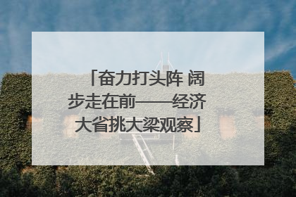 奋力打头阵 阔步走在前——经济大省挑大梁观察