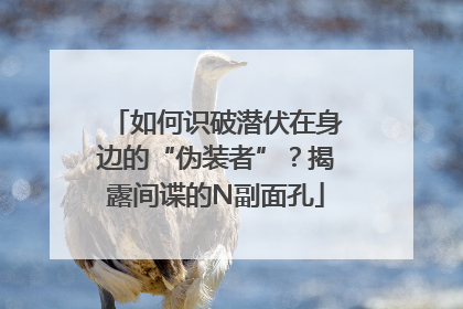 如何识破潜伏在身边的“伪装者”？揭露间谍的N副面孔