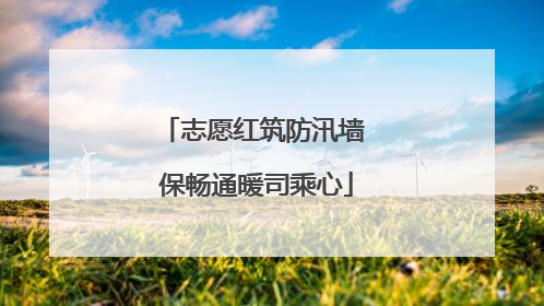 志愿红筑防汛墙 保畅通暖司乘心