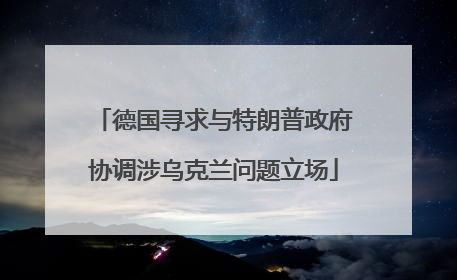 德国寻求与特朗普政府协调涉乌克兰问题立场