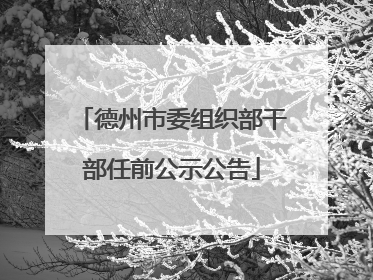 德州市委组织部干部任前公示公告
