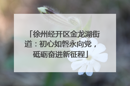 徐州经开区金龙湖街道：初心如磐永向党，砥砺奋进新征程