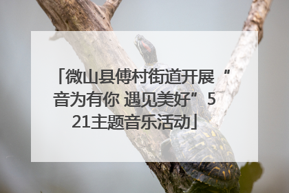 微山县傅村街道开展“音为有你 遇见美好”521主题音乐活动