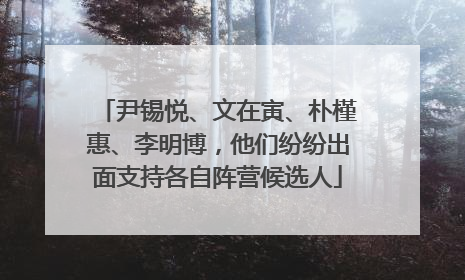尹锡悦、文在寅、朴槿惠、李明博，他们纷纷出面支持各自阵营候选人