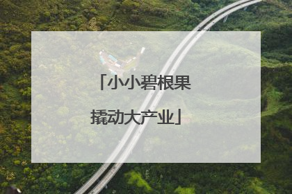 小小碧根果撬动大产业