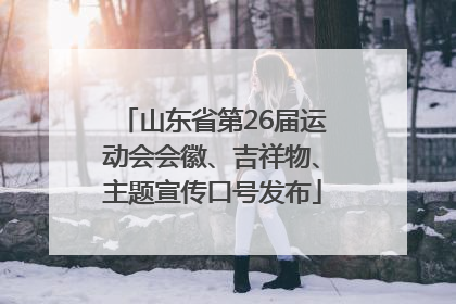 山东省第26届运动会会徽、吉祥物、主题宣传口号发布