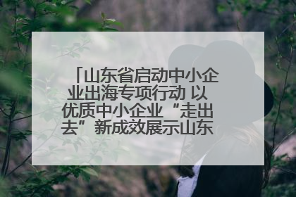 山东省启动中小企业出海专项行动 以优质中小企业“走出去”新成效展示山东产业发展新形象