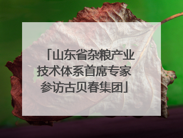 山东省杂粮产业技术体系首席专家参访古贝春集团
