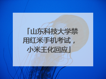 山东科技大学禁用红米手机考试，小米王化回应