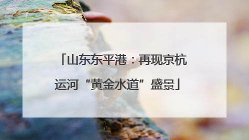 山东东平港：再现京杭运河“黄金水道”盛景