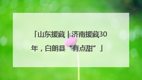 山东援藏｜济南援藏30年，白朗县“有点甜”
