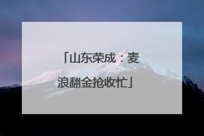 山东荣成：麦浪翻金抢收忙