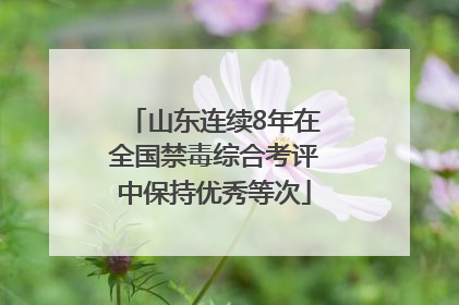 山东连续8年在全国禁毒综合考评中保持优秀等次