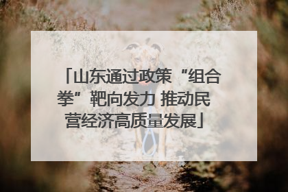 山东通过政策“组合拳”靶向发力 推动民营经济高质量发展