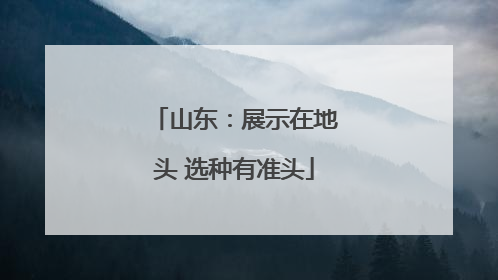 山东：展示在地头 选种有准头