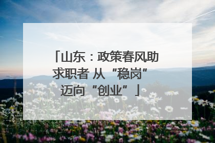 山东：政策春风助求职者 从“稳岗”迈向“创业”