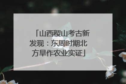 山西稷山考古新发现：东周时期北方旱作农业实证
