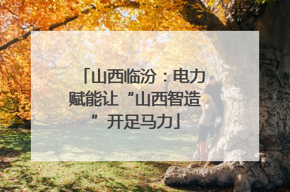 山西临汾：电力赋能让“山西智造”开足马力