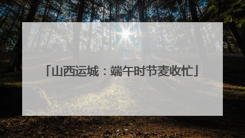 山西运城：端午时节麦收忙