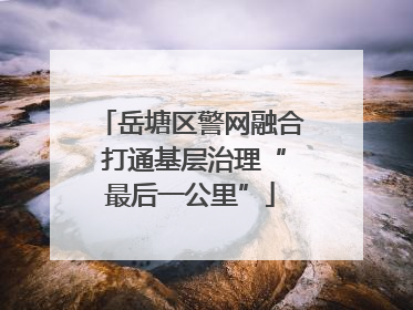 岳塘区警网融合 打通基层治理“最后一公里”