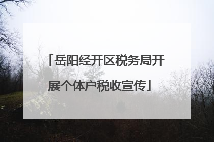 岳阳经开区税务局开展个体户税收宣传