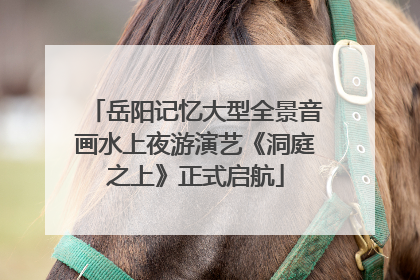 岳阳记忆大型全景音画水上夜游演艺《洞庭之上》正式启航