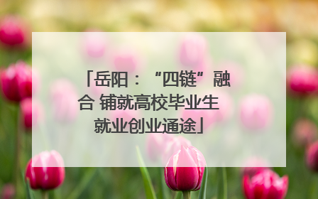 岳阳：“四链”融合 铺就高校毕业生就业创业通途