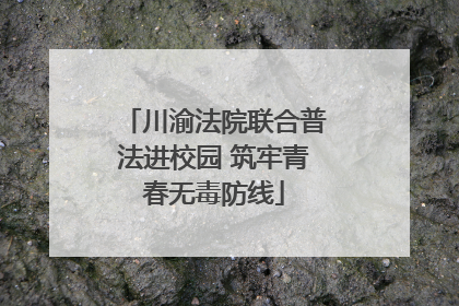 川渝法院联合普法进校园 筑牢青春无毒防线