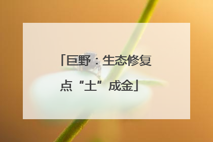 巨野：生态修复点“土”成金