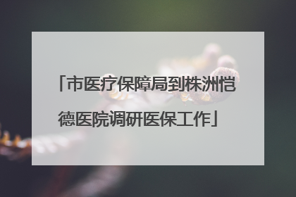 市医疗保障局到株洲恺德医院调研医保工作