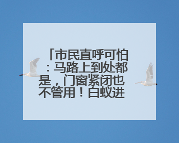 市民直呼可怕：马路上到处都是，门窗紧闭也不管用！白蚁进入高发季，但尚未达顶峰