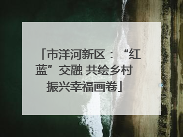 市洋河新区：“红蓝”交融 共绘乡村振兴幸福画卷