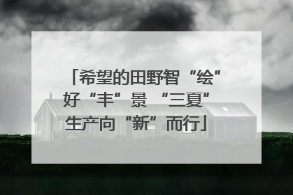 希望的田野智“绘”好“丰”景 “三夏”生产向“新”而行