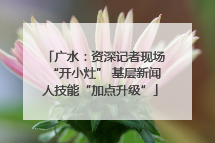广水：资深记者现场“开小灶” 基层新闻人技能“加点升级”