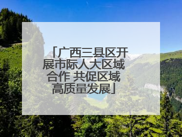 广西三县区开展市际人大区域合作 共促区域高质量发展