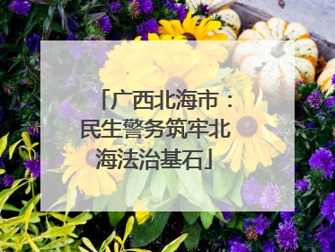 广西北海市：民生警务筑牢北海法治基石