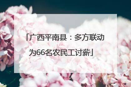 广西平南县：多方联动为66名农民工讨薪