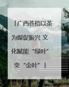 广西苍梧以茶为媒促振兴 文化赋能“绿叶”变“金叶”