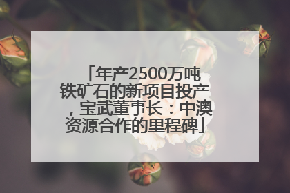 年产2500万吨铁矿石的新项目投产，宝武董事长：中澳资源合作的里程碑
