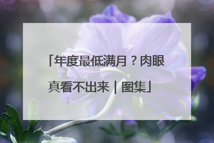年度最低满月？肉眼真看不出来｜图集