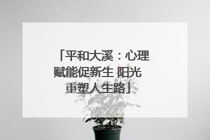 平和大溪：心理赋能促新生 阳光重塑人生路