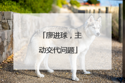 廖进球，主动交代问题