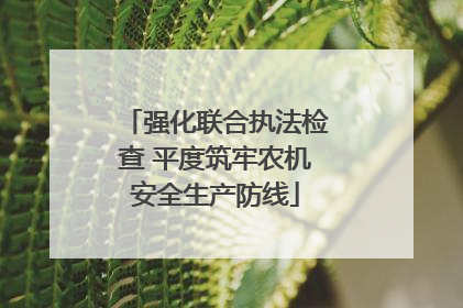 强化联合执法检查 平度筑牢农机安全生产防线