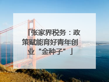 张家界税务：政策赋能育好青年创业“金种子”