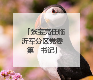 张宝亮任临沂军分区党委第一书记
